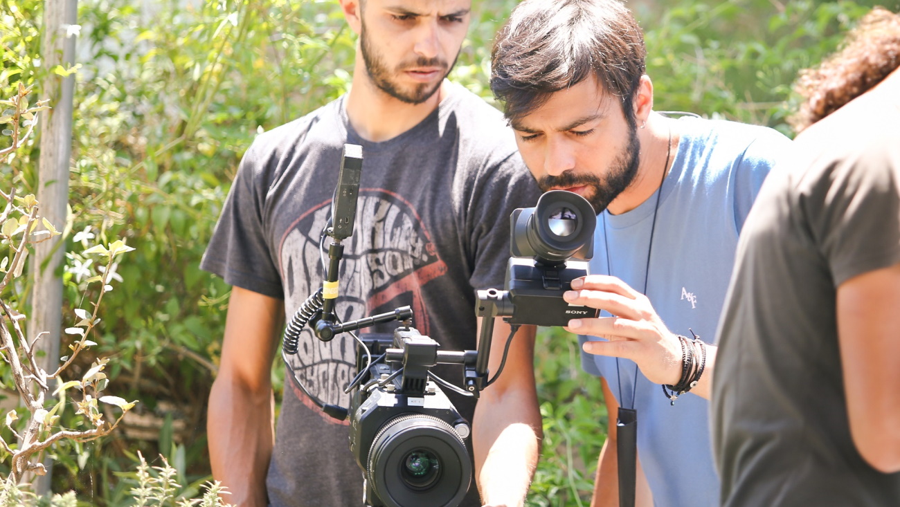 γη της ελιάς