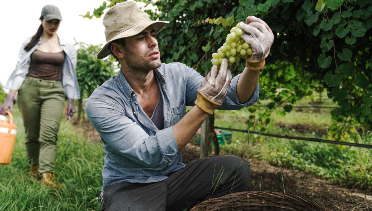 Ματωμένη Γη