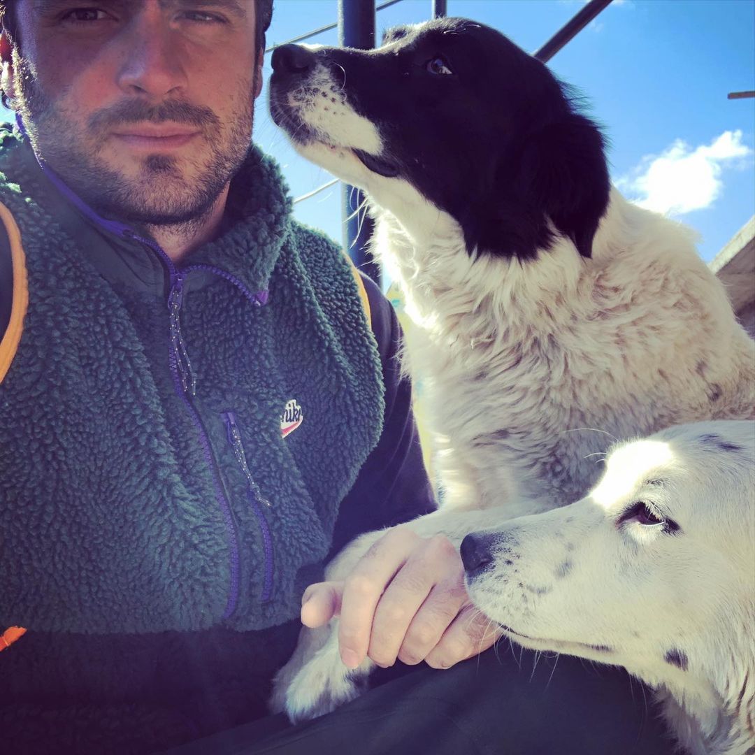 dani ekpaideytisskilon