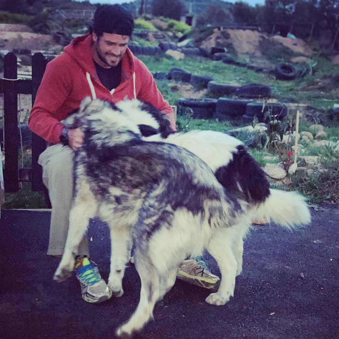 dani ekpaideytisskilon