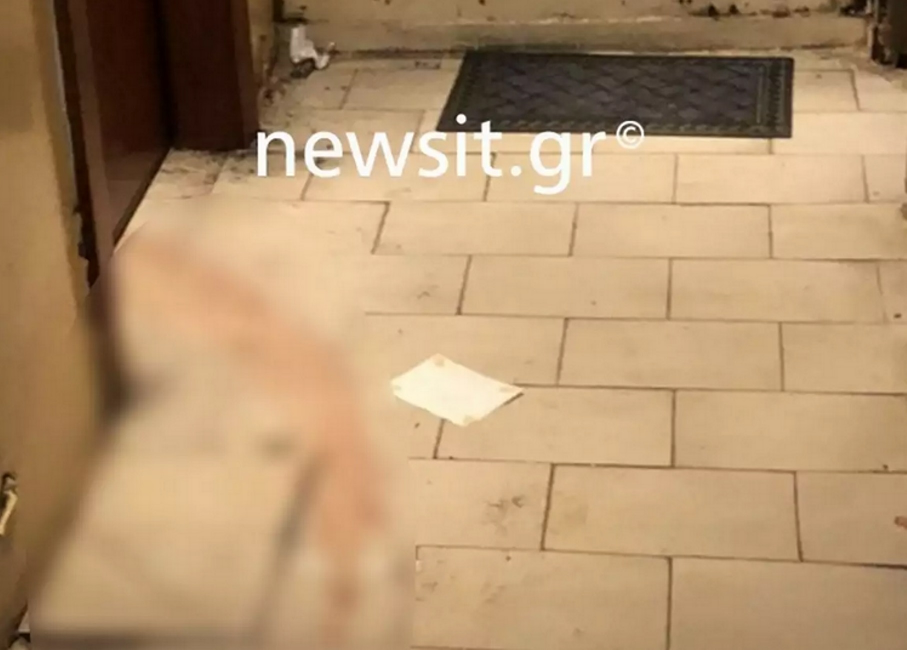 Αυτοκτόνησε στα κρατητήρια ο Γεωργιανός που έσφαξε τη σύντροφό του