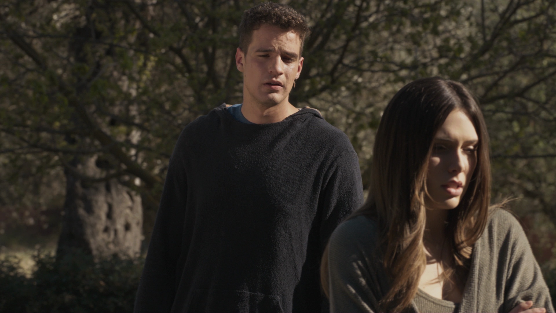 Η γη της ελιάς επ.