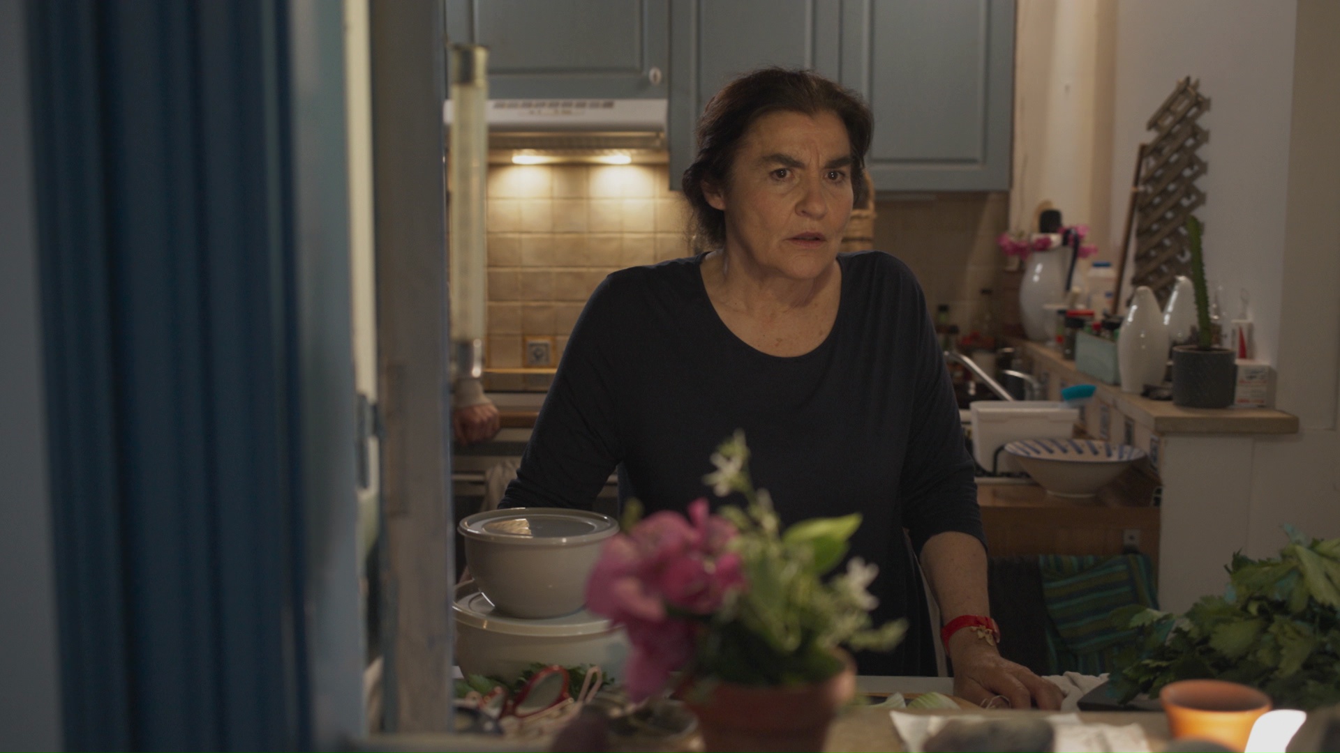 Η γη της ελιάς επ.