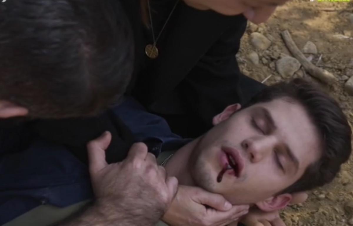 Γη της Ελιάς