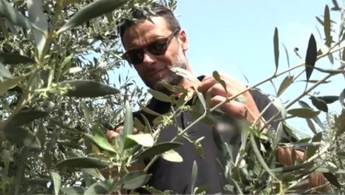 Αλέξης Τζόρβας