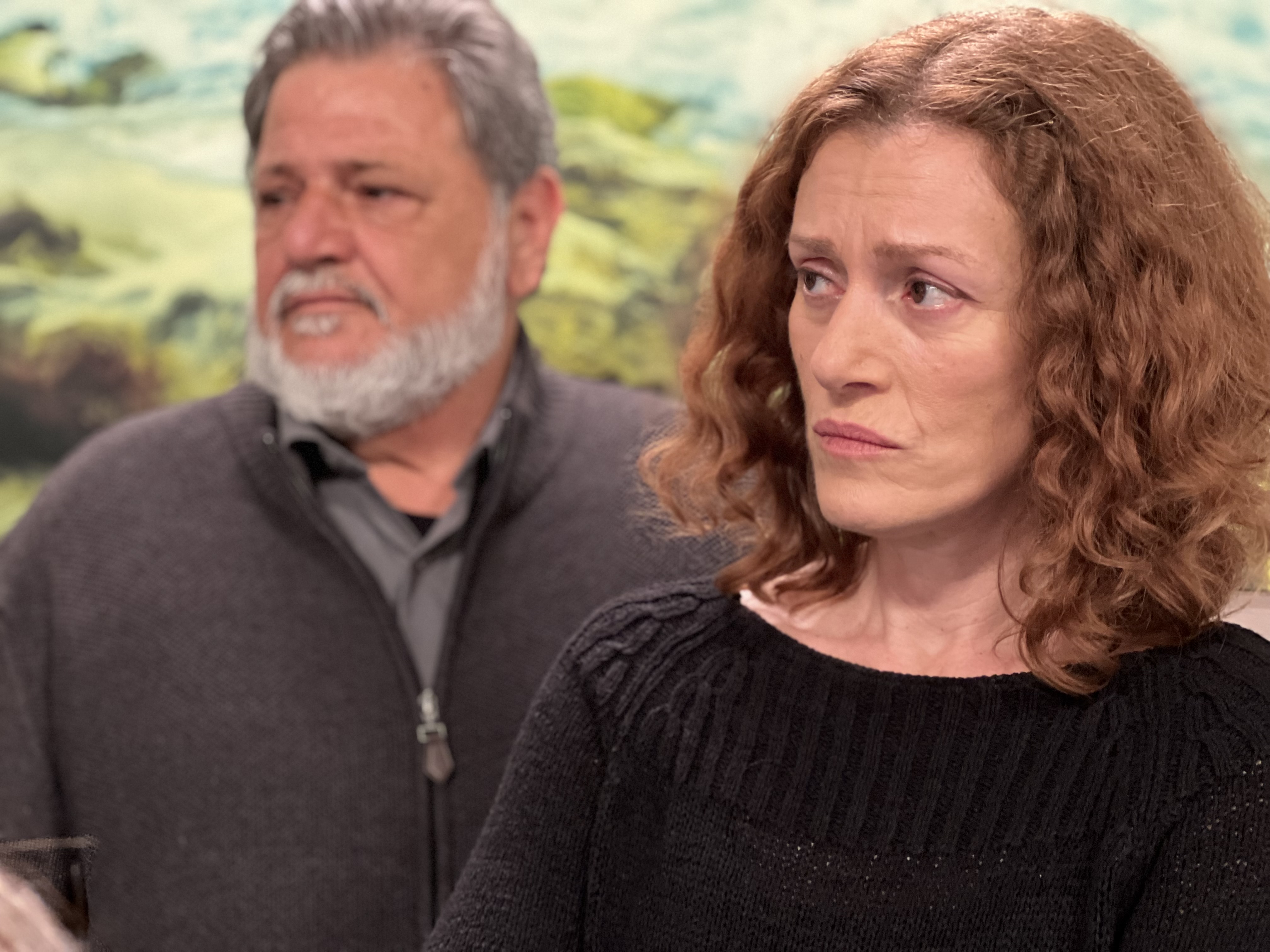 Η γη της ελιάς β