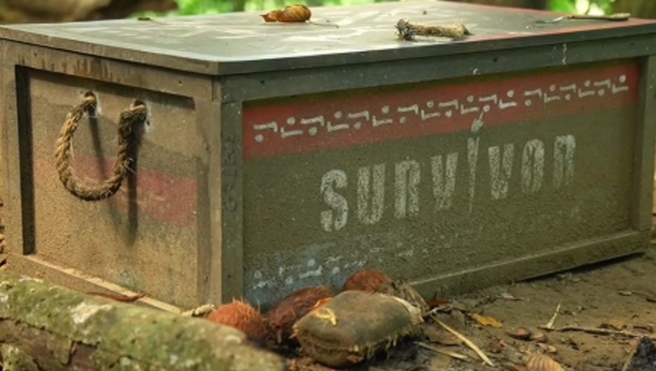 Survivor