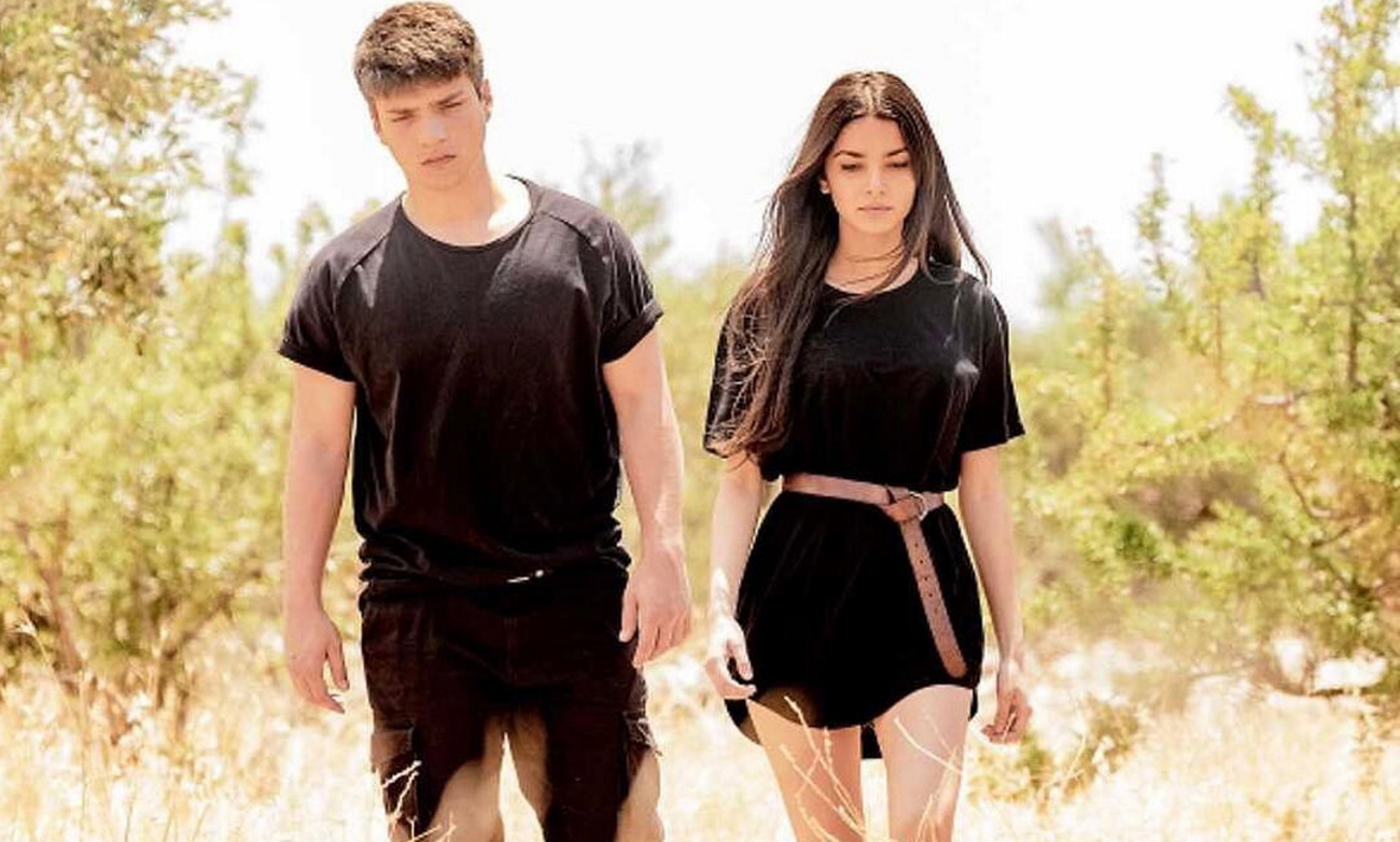 Γη της ελιάς