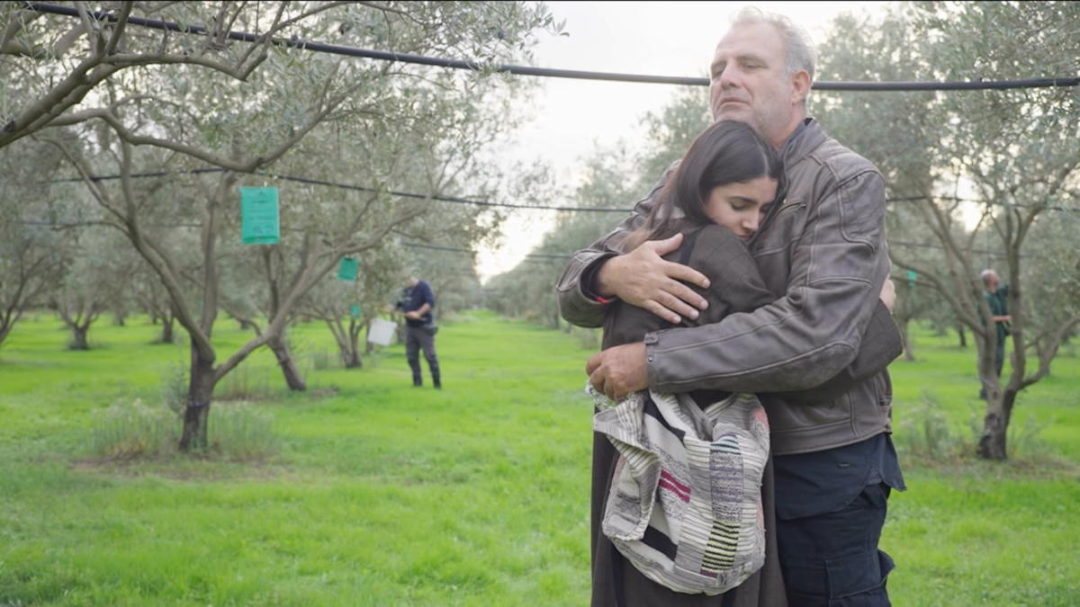 Γη της Ελιάς