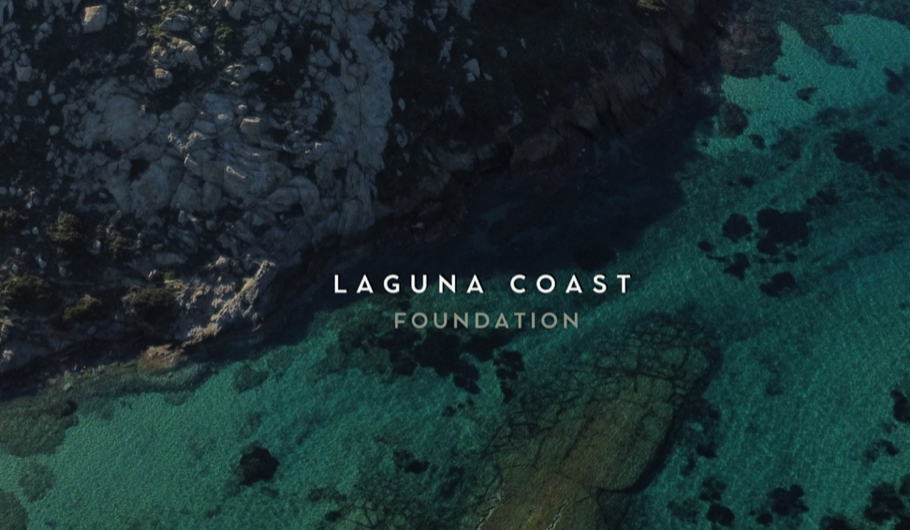 Laguna Coast Foundation: Παγκόσμιο Case study για 5 κορυφαία διεθνή Πανεπιστήμια
