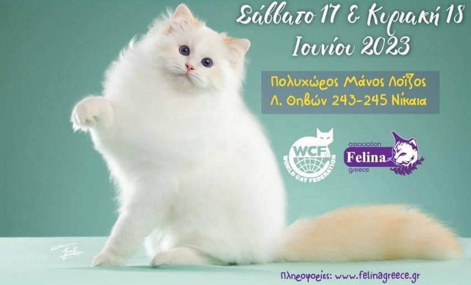 CatExpo2023: Η μεγαλύτερη γιορτή γάτας