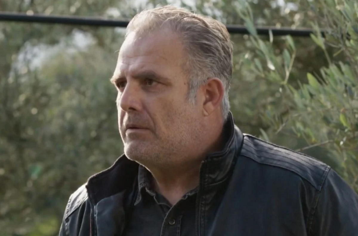 Γη της Ελιάς