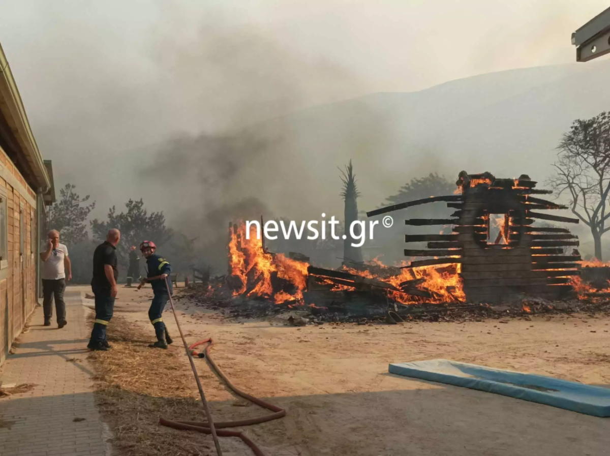 Λαγονήσι