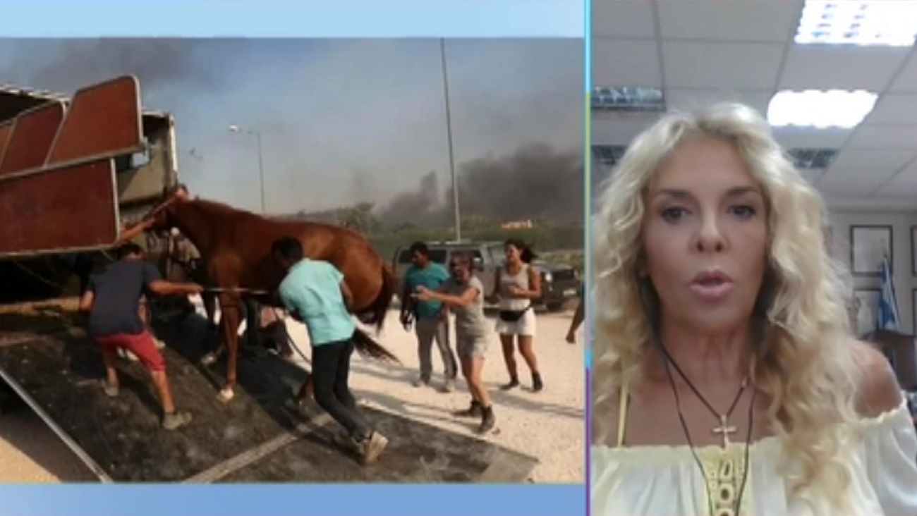 Μαίρη Μηλιαρέση για τη φωτιά στο Λαγονήσι: “Αν είσαι άνθρωπος, πρέπει αυτό να το αντιλαμβάνεσαι”