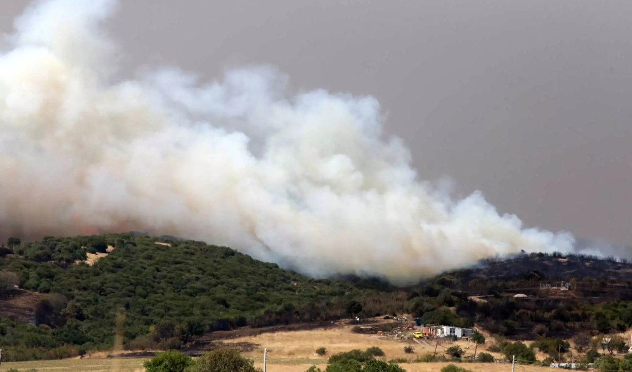 Φωτιά στον Έβρο: Μαίνεται η μάχη στη Δαδιά – Αναζητούνται δύο ύποπτοι για εμπρησμό στην Εύβοια