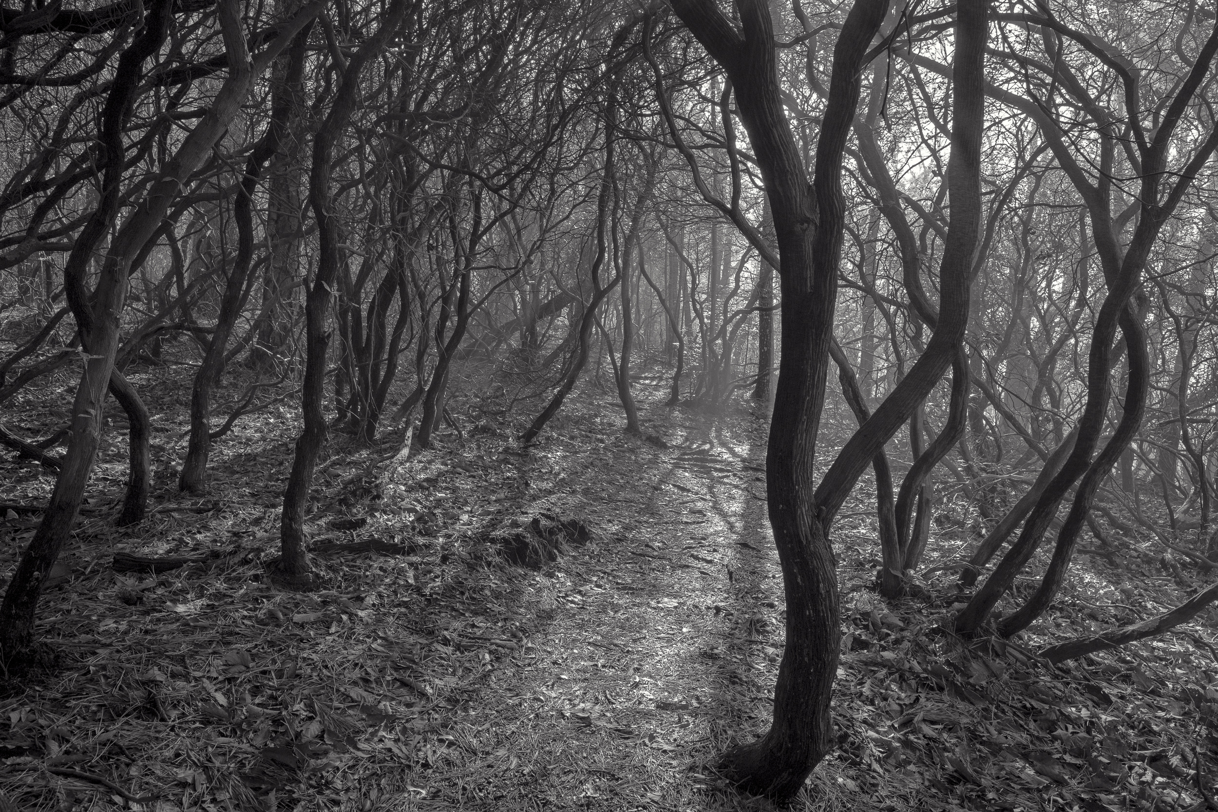 5 γυναίκες εικαστικοί συναντιούνται σε μια μοναδική έκθεση φωτογραφίας