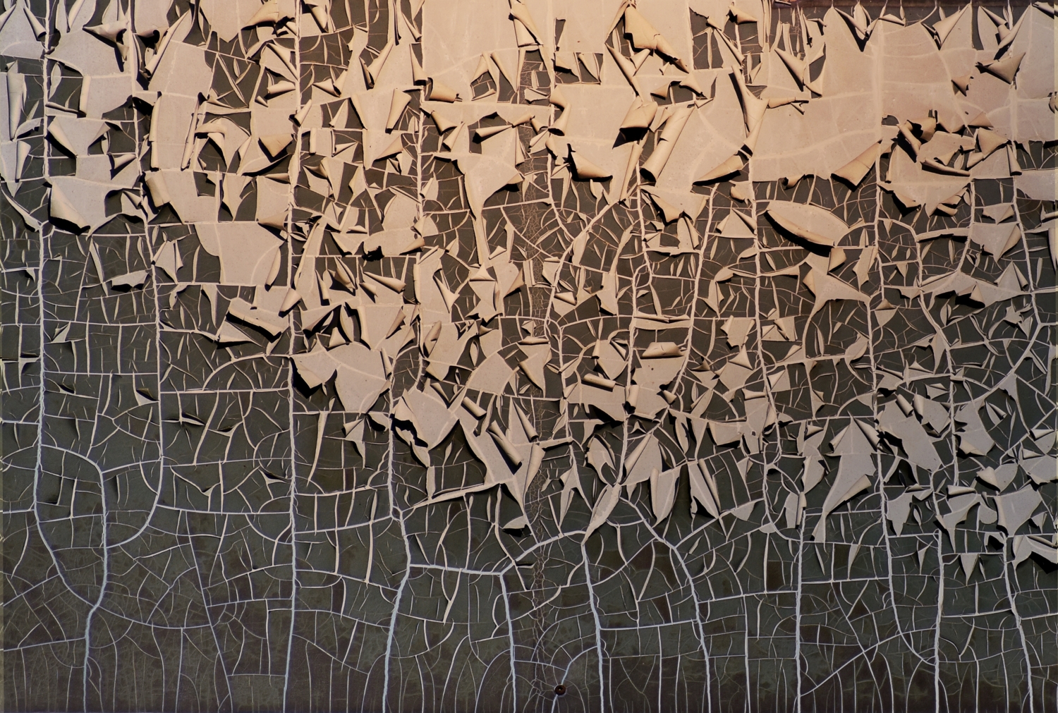 A Closer Look… στα έργα 5 εξαιρετικών καλλιτεχνών