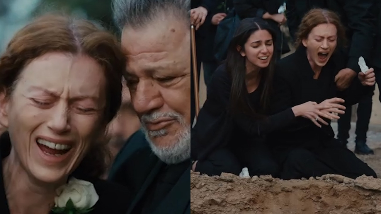 Γη της Ελιάς