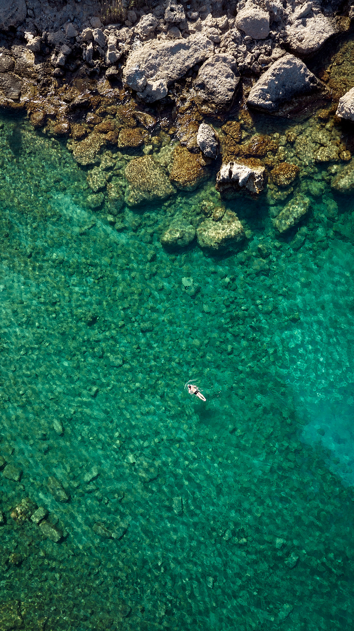 SB kallithea web size