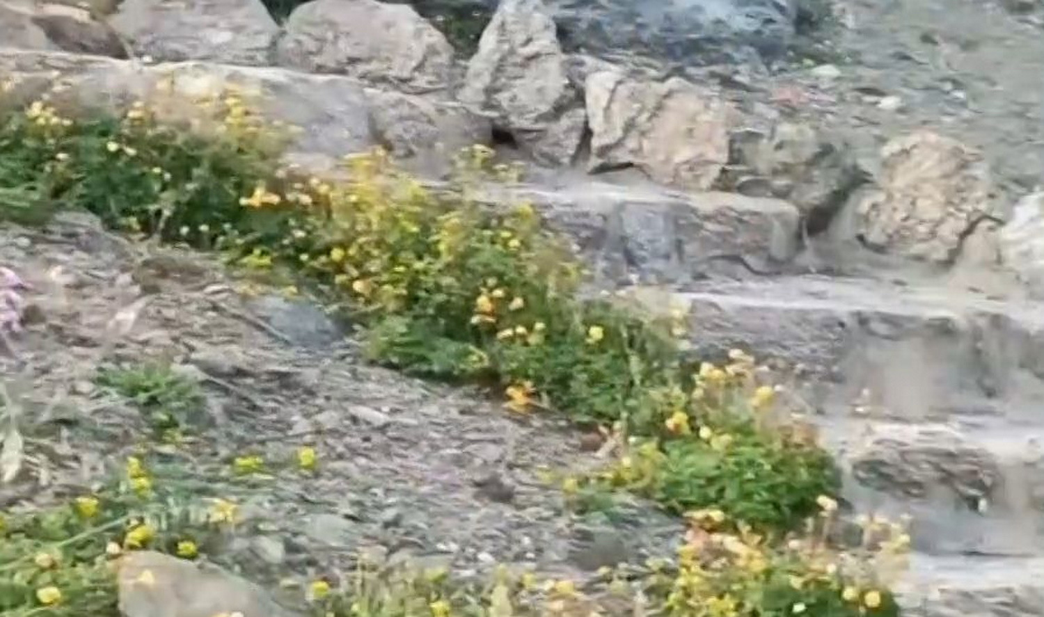 Αντώνης Ρέμος: Ξεθάφτηκε το εκκλησάκι που είχε μπαζωθεί στη βίλα του στη Μύκονο