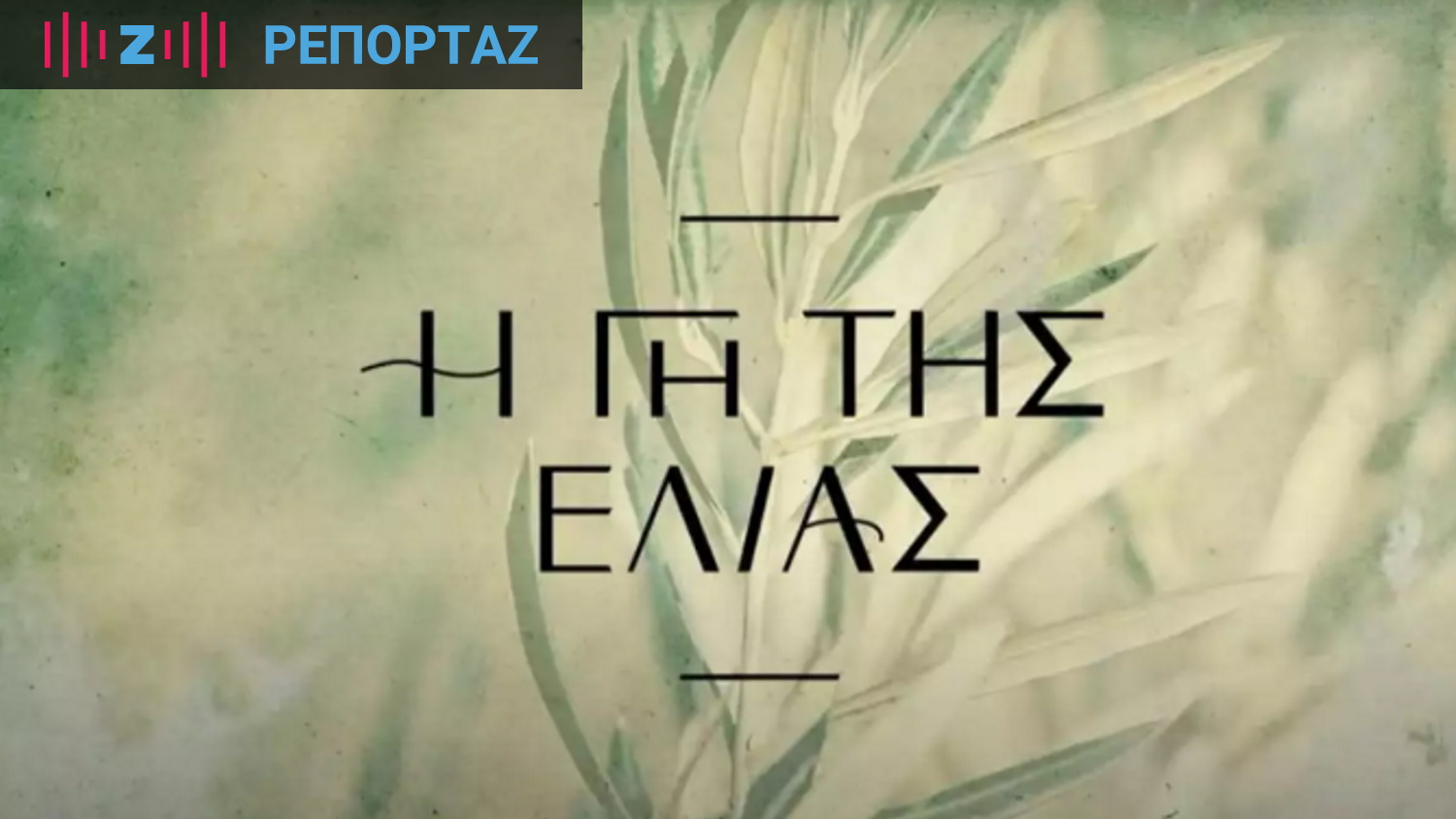Γη της Ελιάς