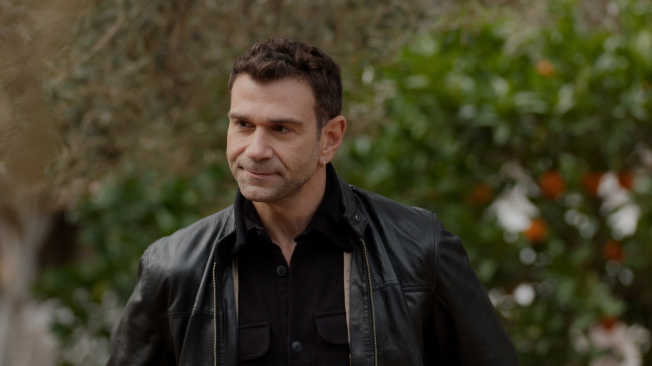 Γη της ελιάς