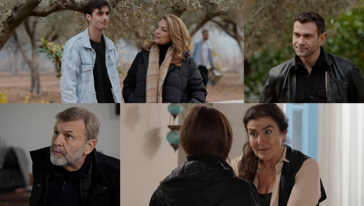 Γη της ελιάς