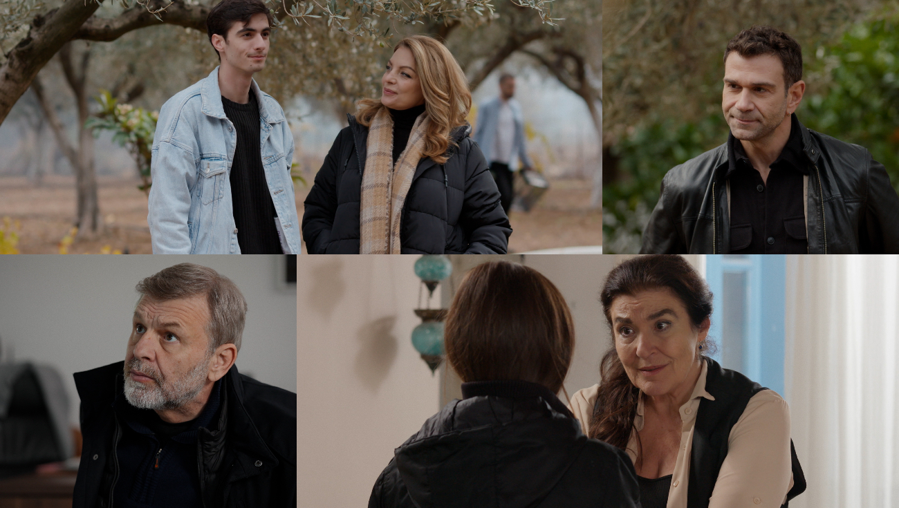 Γη της ελιάς