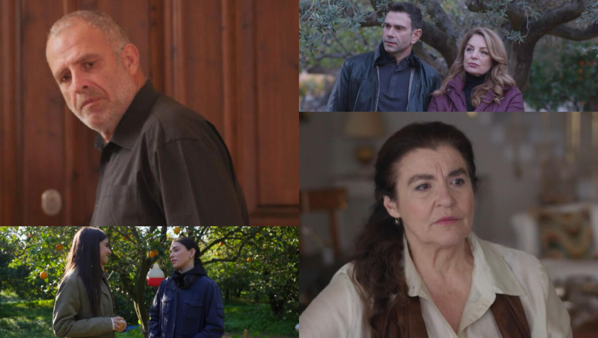 Γη της ελιάς