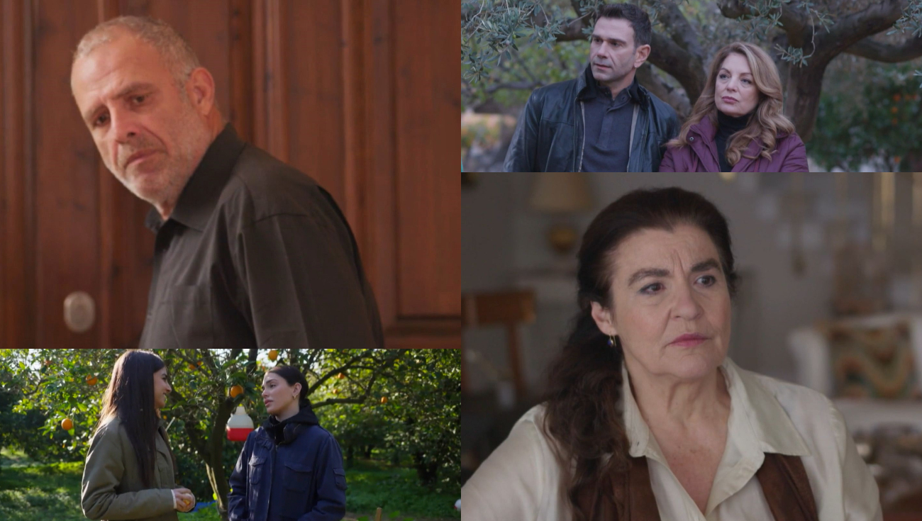 Γη της ελιάς