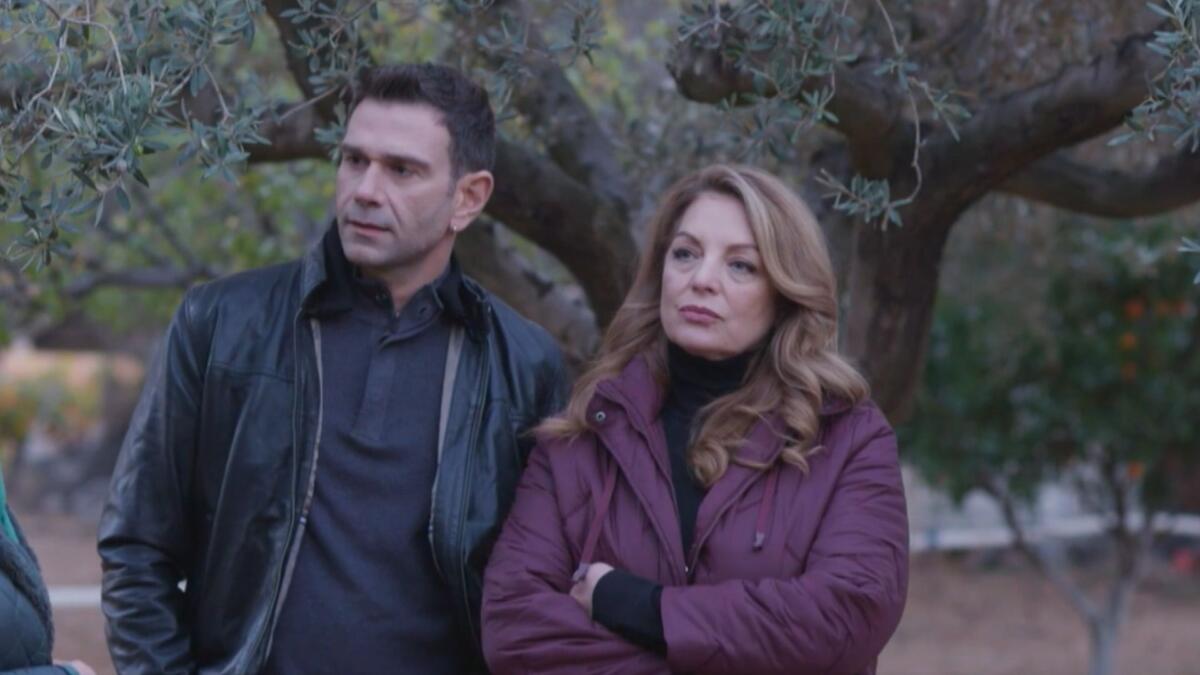 Η γη της ελιάς Δ επ. β