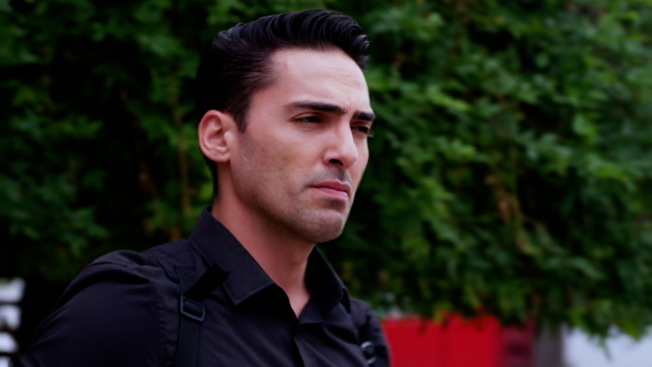 Γη της ελιάς