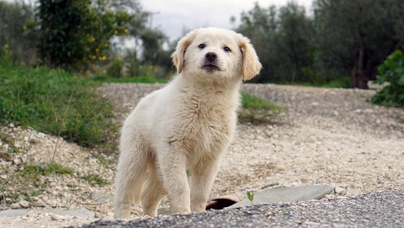 Πασχαλιάτικο Bazaar