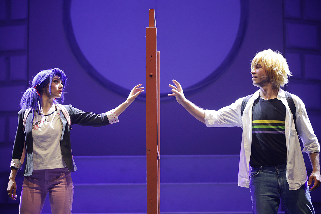 MIRACULOUS LADYBUG CAT NOIR