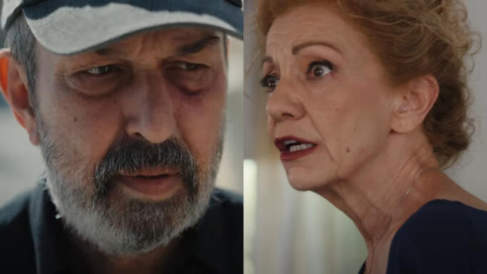 Γη της Ελιάς