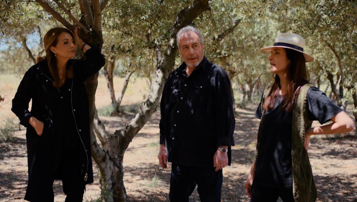 Γη της Ελιάς