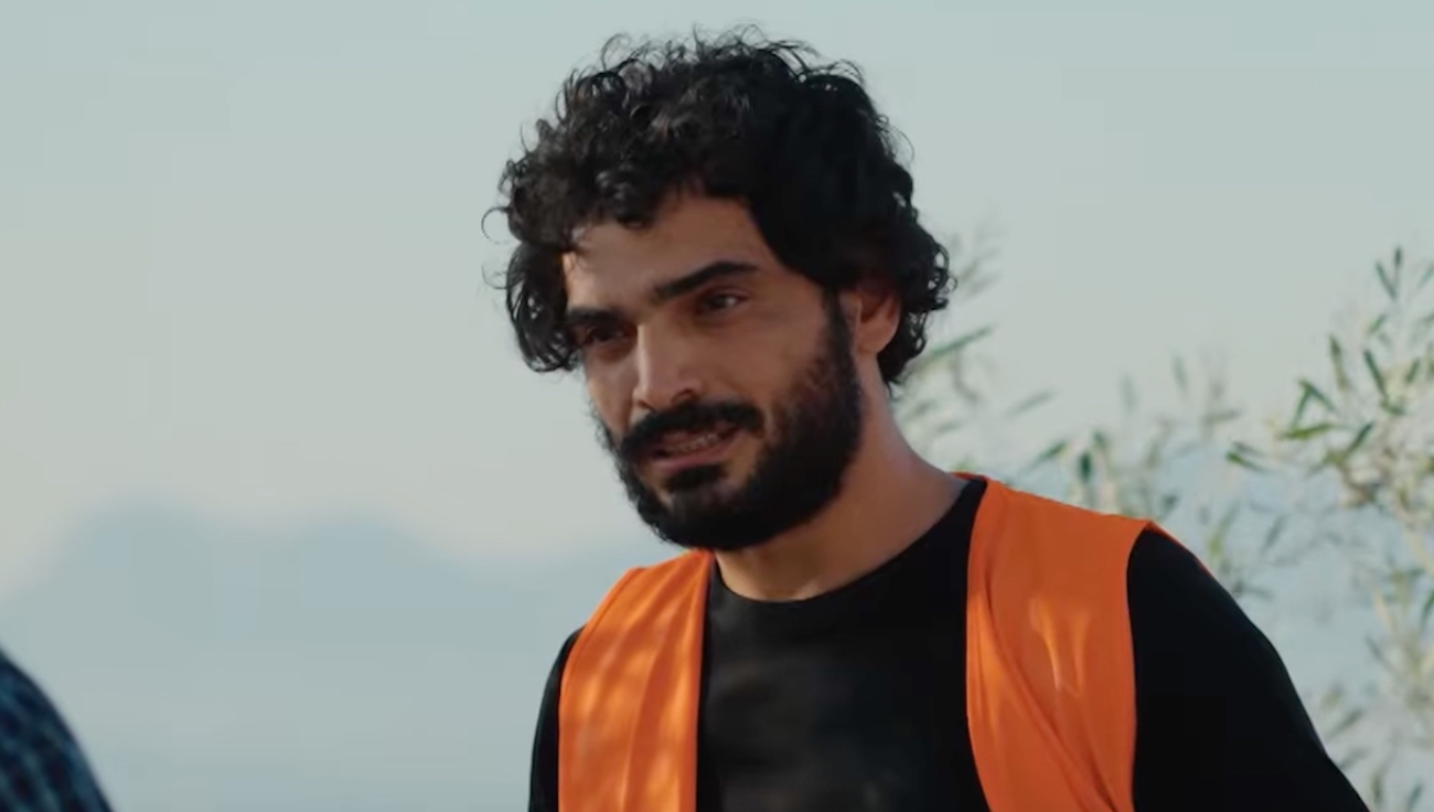 Γη της Ελιάς