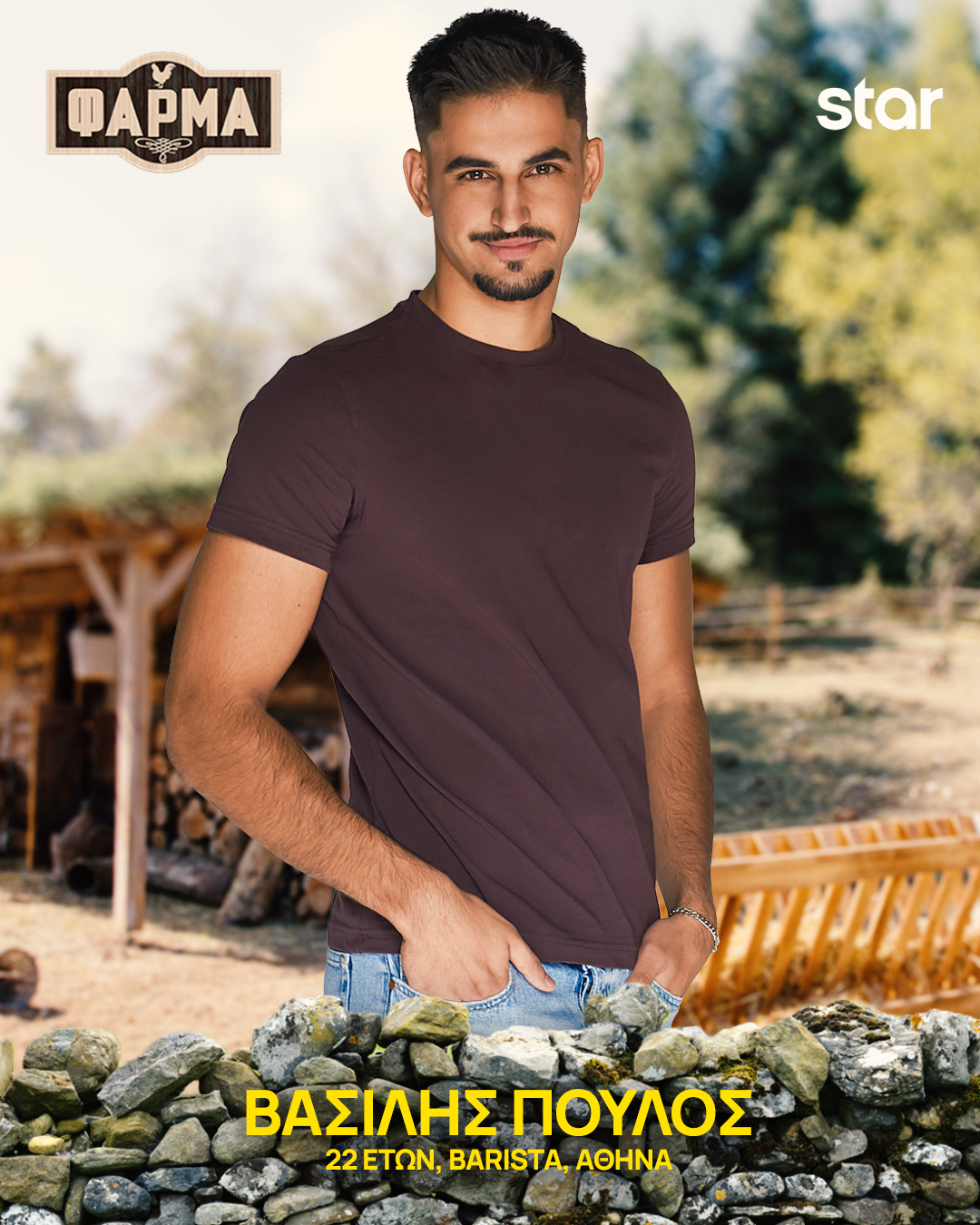 ΒΑΣΙΛΗΣ ΠΟΥΛΟΣ