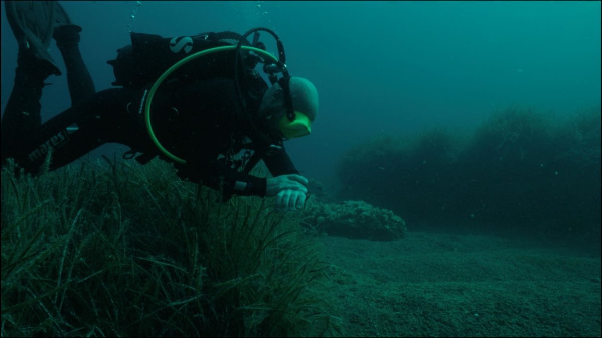 cosmote-history-hd-ble-dasi