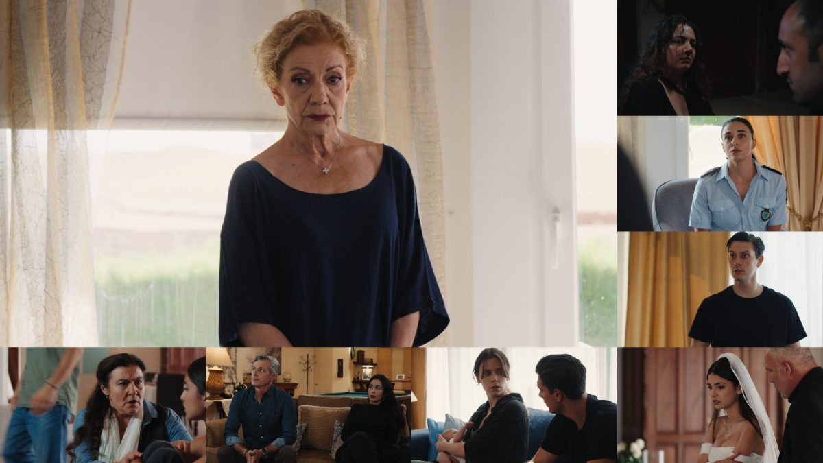 Γη της Ελιάς