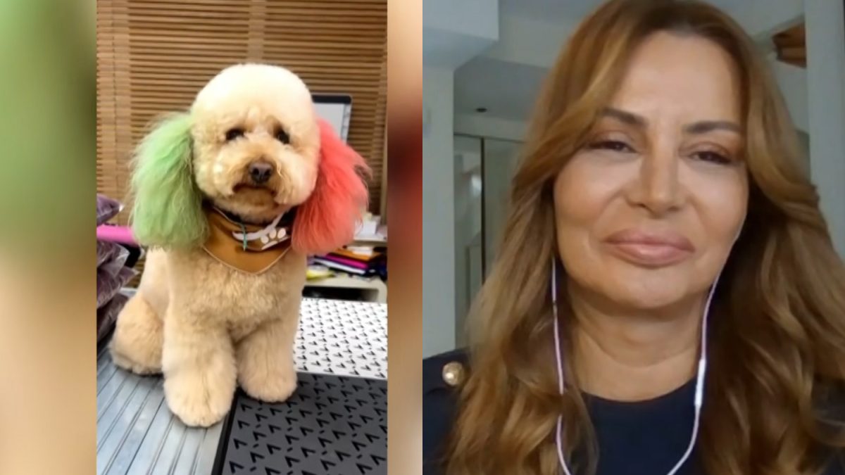 Μαρία Καλάβρια