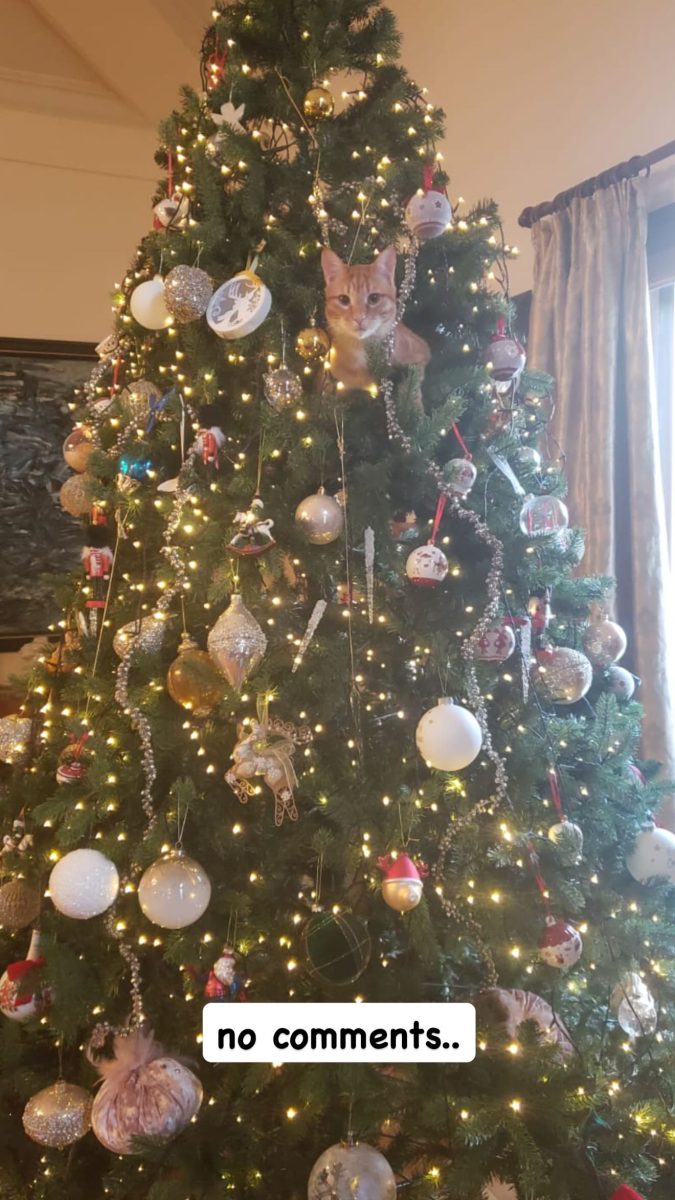 Φαίη Σκορδά