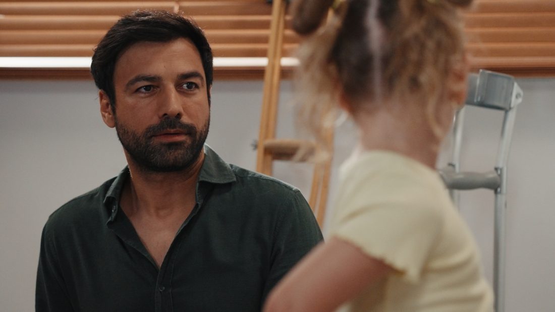 Γη της Ελιάς