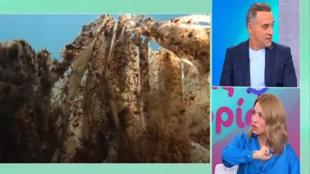 Μαρία Ηλιάκη: «Μου το είπε ο Λιάγκας, που έχει και φουσκωτό, εγώ απλά δίνω την πληροφορία»