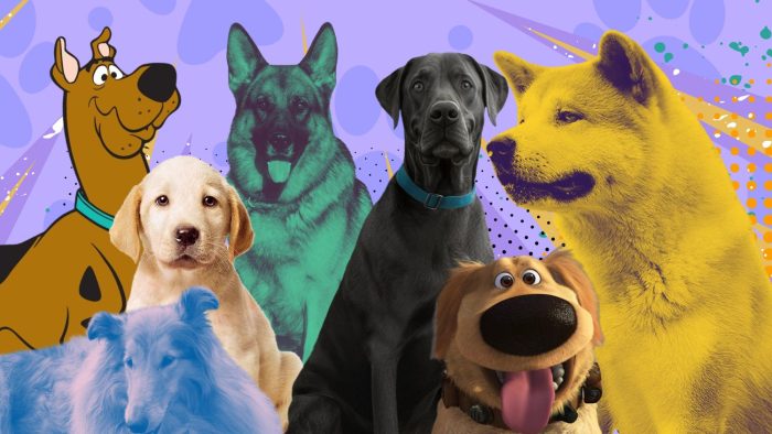 Από τον Scooby-Doo μέχρι τον Μπούμπη: Oι πιο διάσημοι σκύλοι του σινεμά και της TV