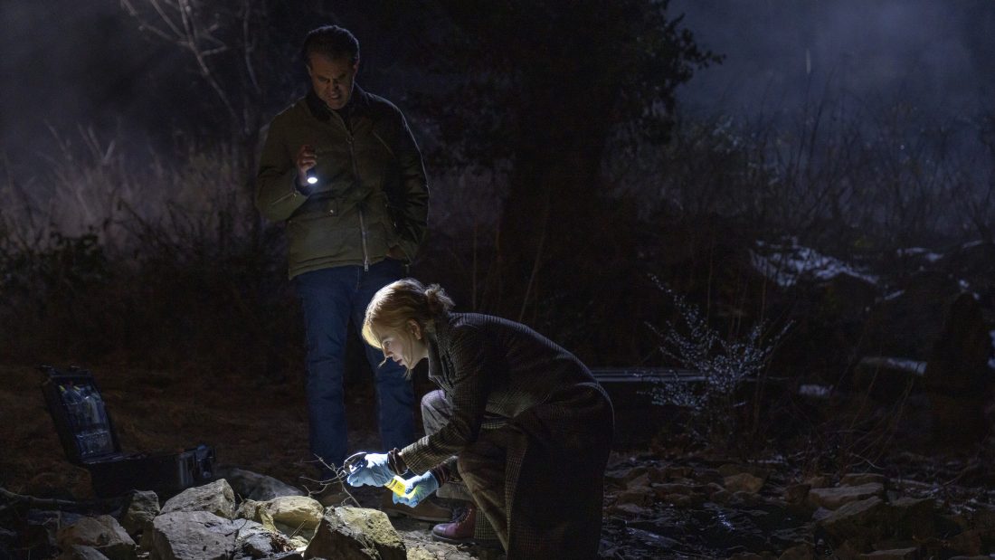 scarpetta-prime-video