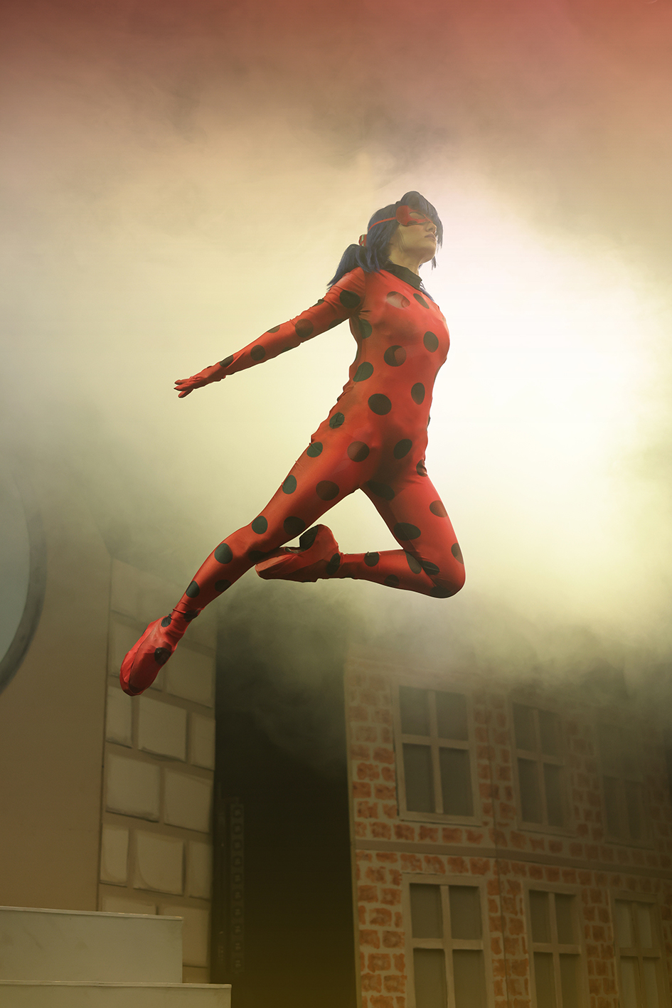 miraculous ladybug cat noir