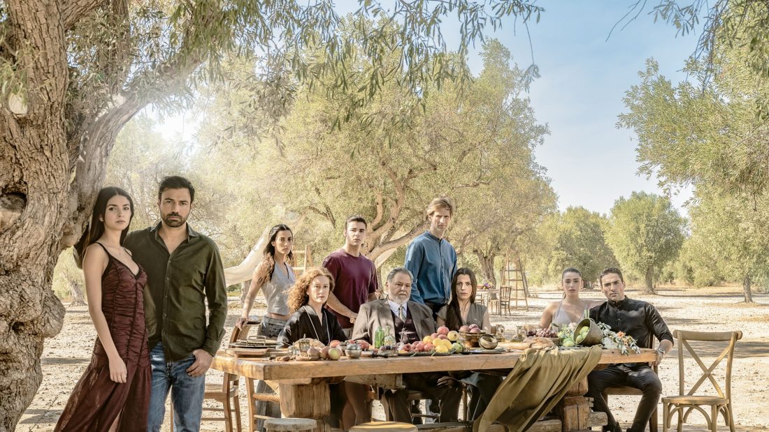 Γη της Ελιάς