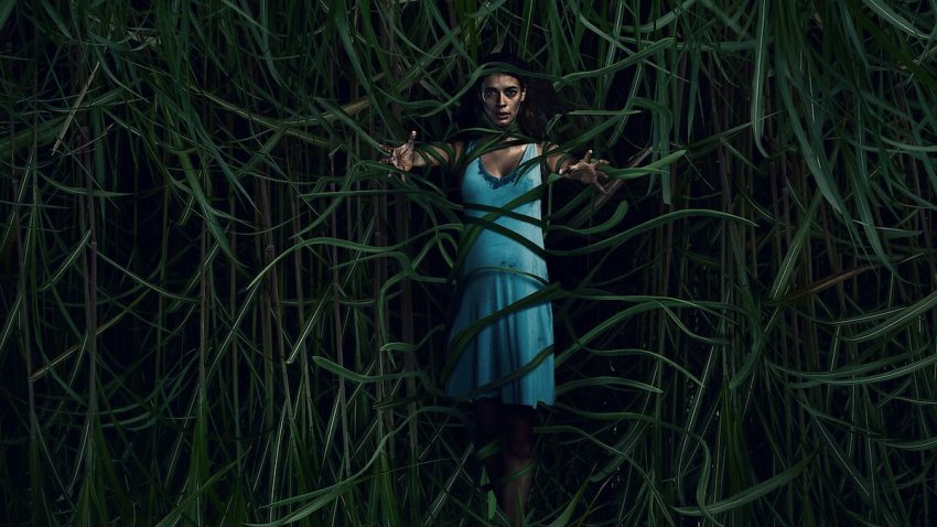 in-the-tall-grass-netflix