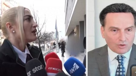 Μιχάλης Δημητρακόπουλος